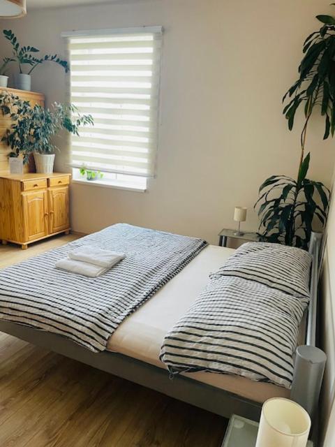 Apartman Lucian Prag Dış mekan fotoğraf